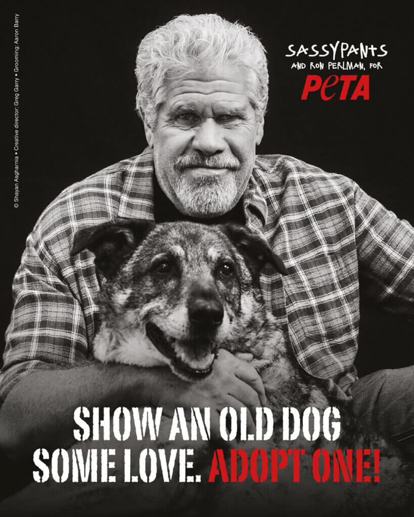 PETA Motiv mit Ron Perlman und Hund. 