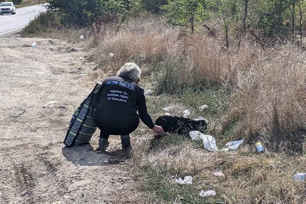 Eine Frau steht in einem kargen Feld bei einem schwarzen Hund, der am Boden liegt.