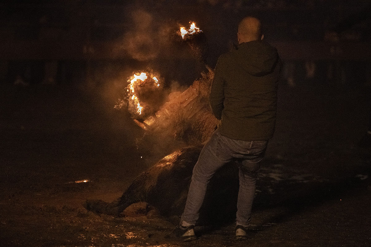 Mann hält Stier mit brennenden Stäben fest