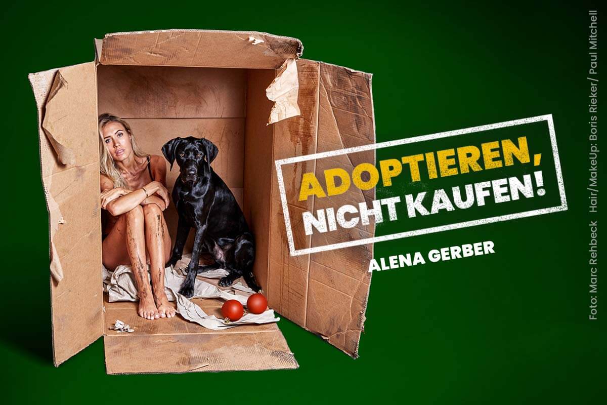 Alena Gerber für PETA: Tiere sind keine Weihnachtsgeschenke!
