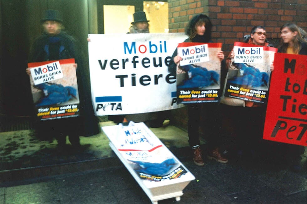 Vogelschutz bei Erdölkonzernen