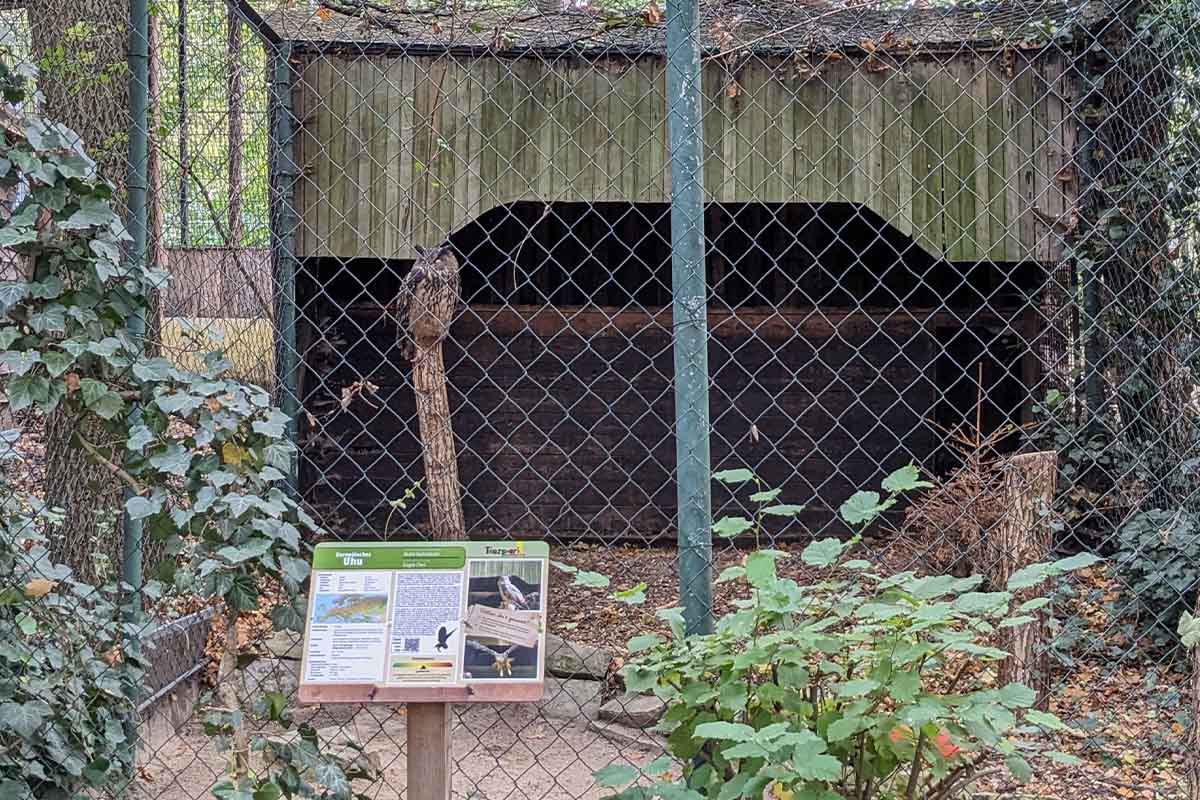 Eine Eule sitzt auf einem Stamm im Tierpark Nadermann