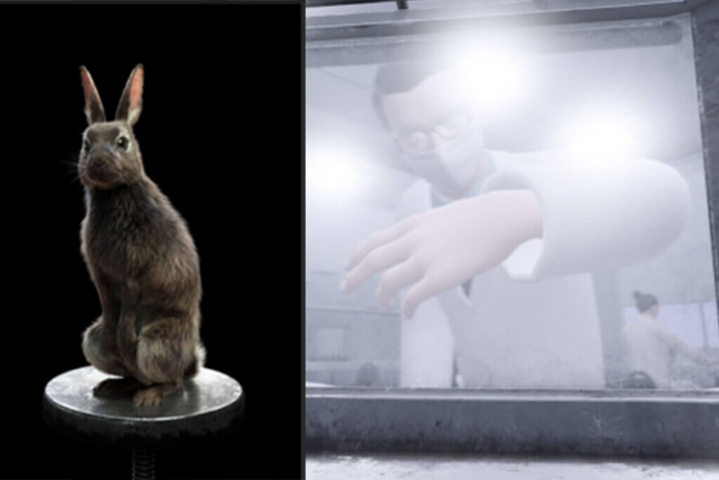 Collage Kaninchen und Forschende Person