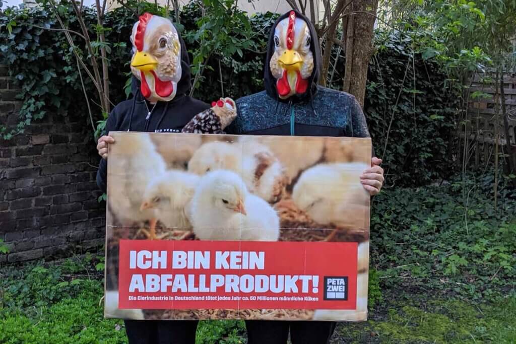 Zwei Menschen mit Hühner Maske und Plakat