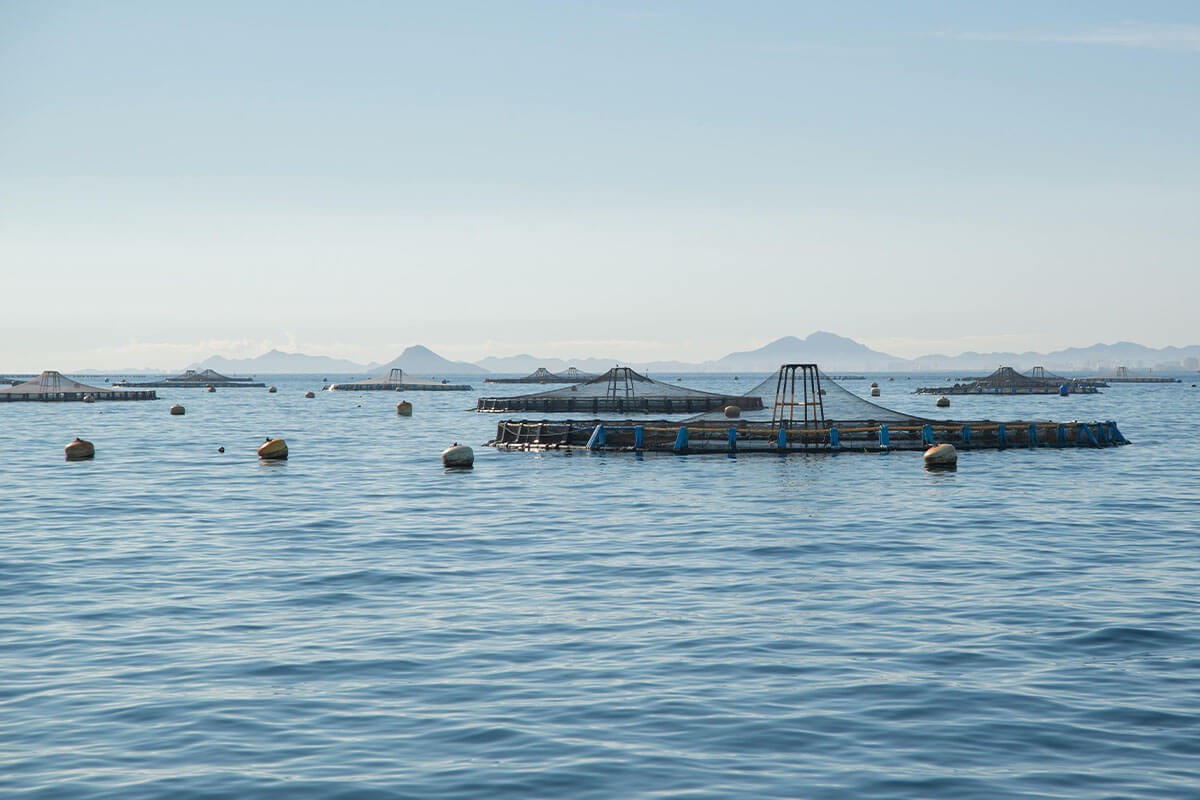 Aquakultur Offshoreanlagen im Meer.