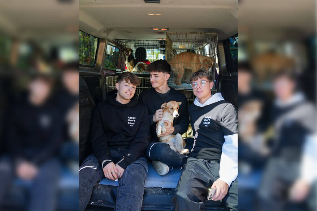 Jonas Ems, Nathan Goldblat und Lewinray im Rettungsvan mit den Hunden.
