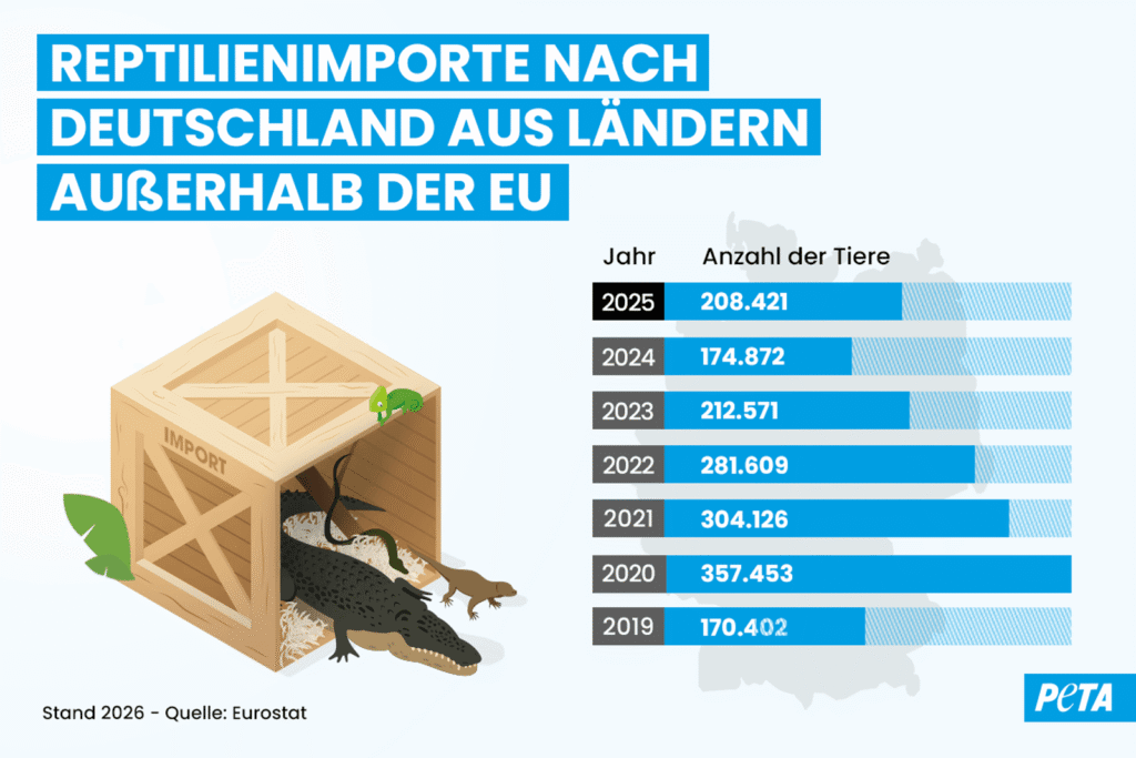 Grafik Zahlen Exotenhandel
