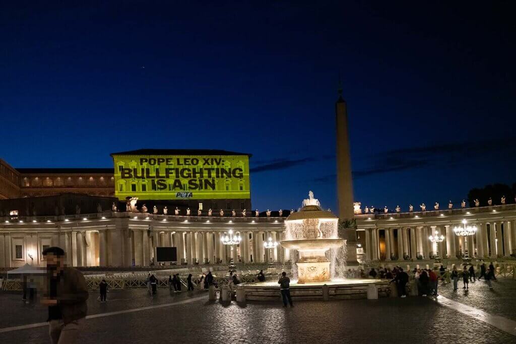 PETA Uk hat mit einem Beamer Protestnachrichten an eine Wand im Vatikan projeziert.