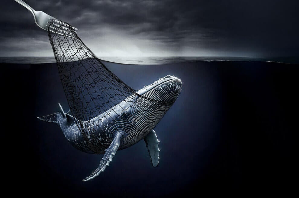 Ein fiktives Bild von einem Wal im Ozean, welcher sich in einem Fangnetz befindet, welches von einer Gabel gehalten wird.