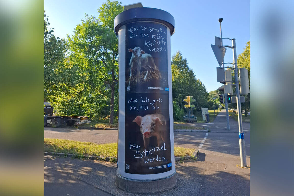 Plakate auf Litfaßsäule mit Ferkel und Lamm mit Text "Wenn ich groß bin, will ich kein Schnitzel/Kotelett werden"