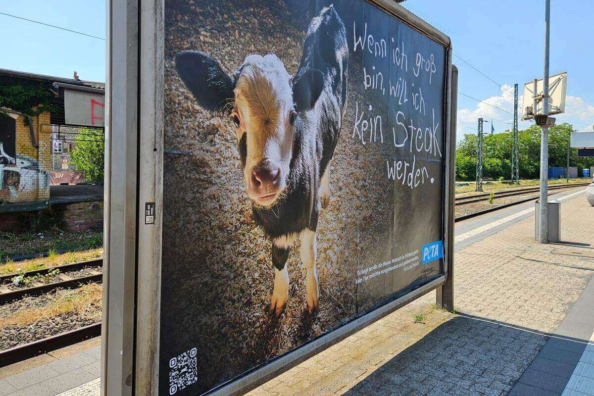 Plakat an einem Bahnsteig mit Kalb und Aufschrift: "Wenn ich groß bin, will ich kein Steak werden"