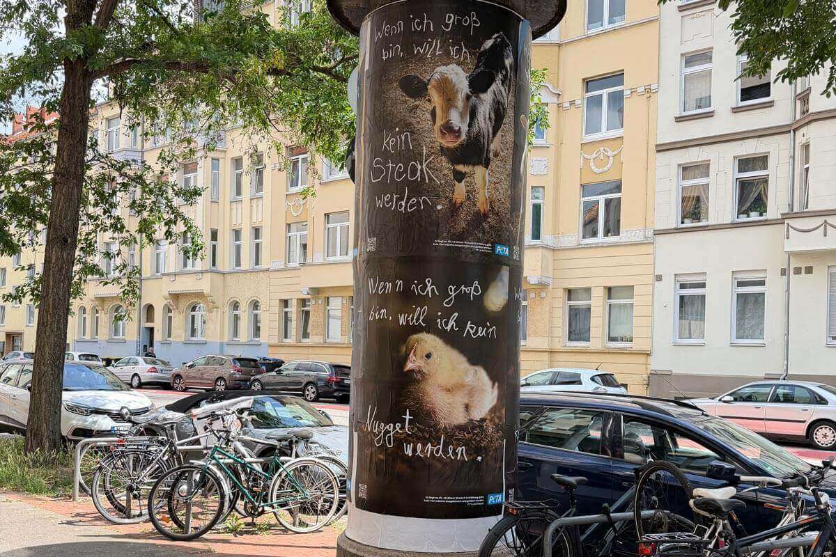 Plakate auf Litfaßsäule mit Kalb und Küken mit Text "Wenn ich groß bin, will ich kein Steak/Nugget werden"