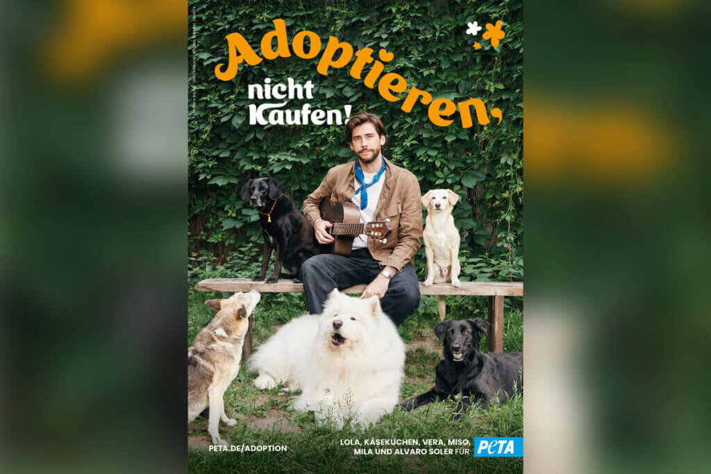 Alvaro Soler für Adoptions-Kampagne
