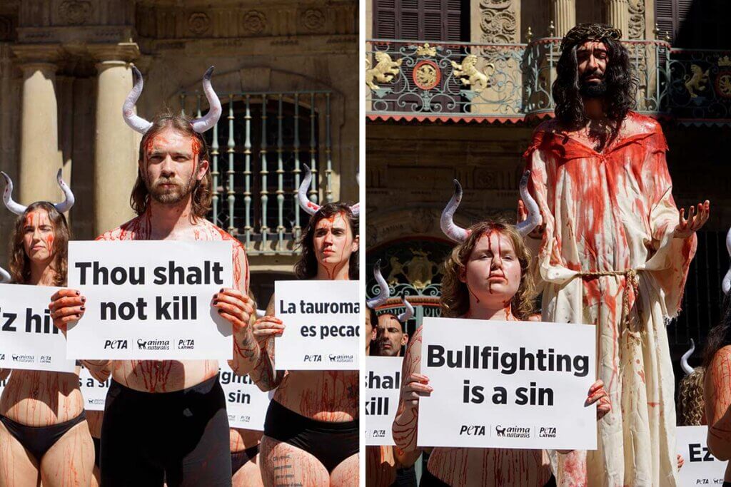 PETA-Proteste 2026 in Pamplona gegen Stierlauf