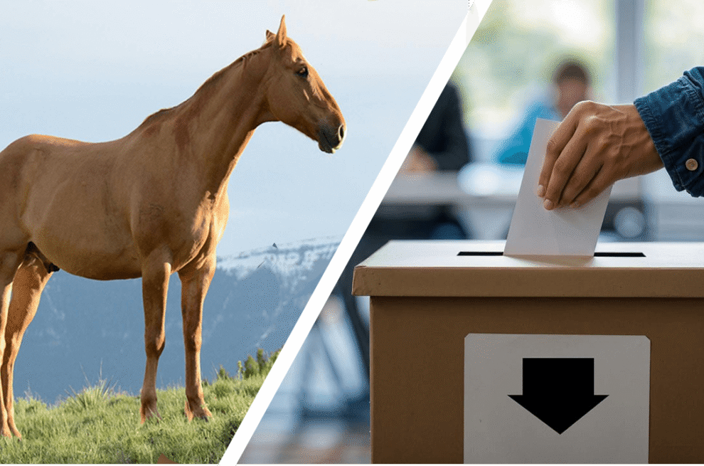 Auf der linken Seite steht ein Pferd in freier Wildbahn und rechts wirft eine Hand einen Wahlumschlag in eine Urne