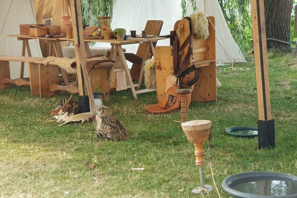Eule auf dem Boden bei einem Mittelaltermarkt