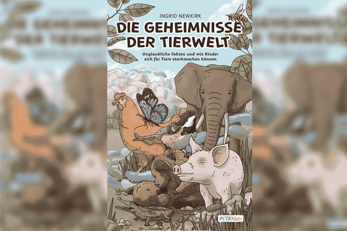 Die Geheimnisse Der Faszinierenden Eigenschaften Mit J Entdecke Die Versteckte Welt Der Deutschen Sprachefeed