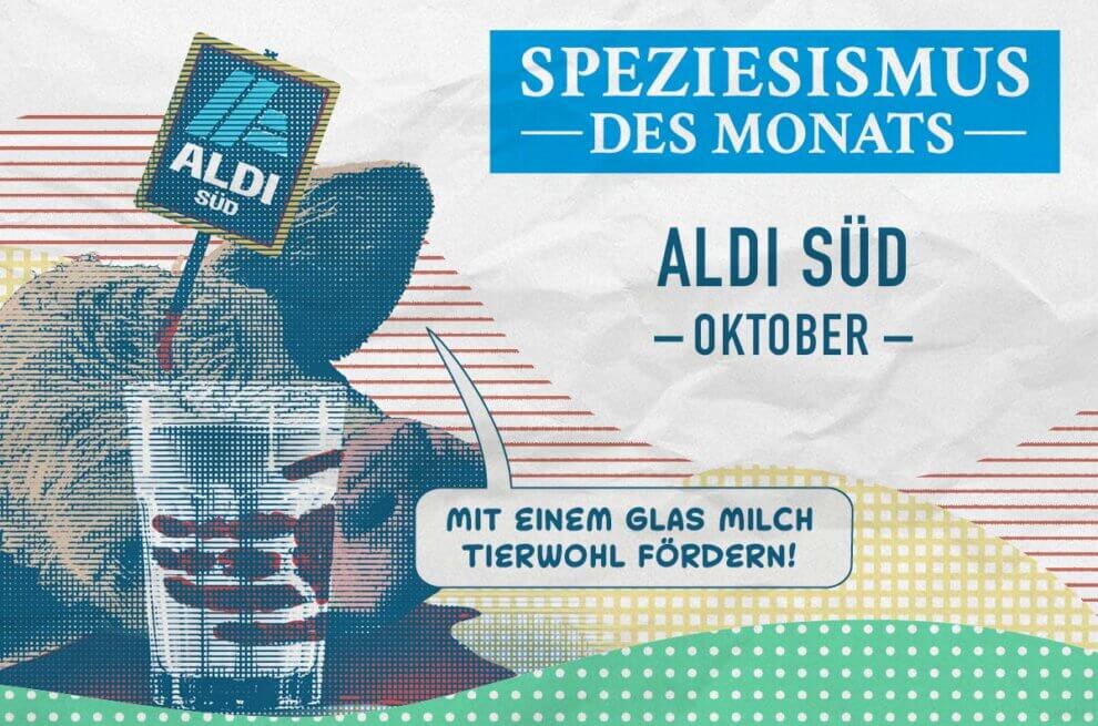 Collage zum Speziesismus des Monats mit blutbeschmierten Glas Milch