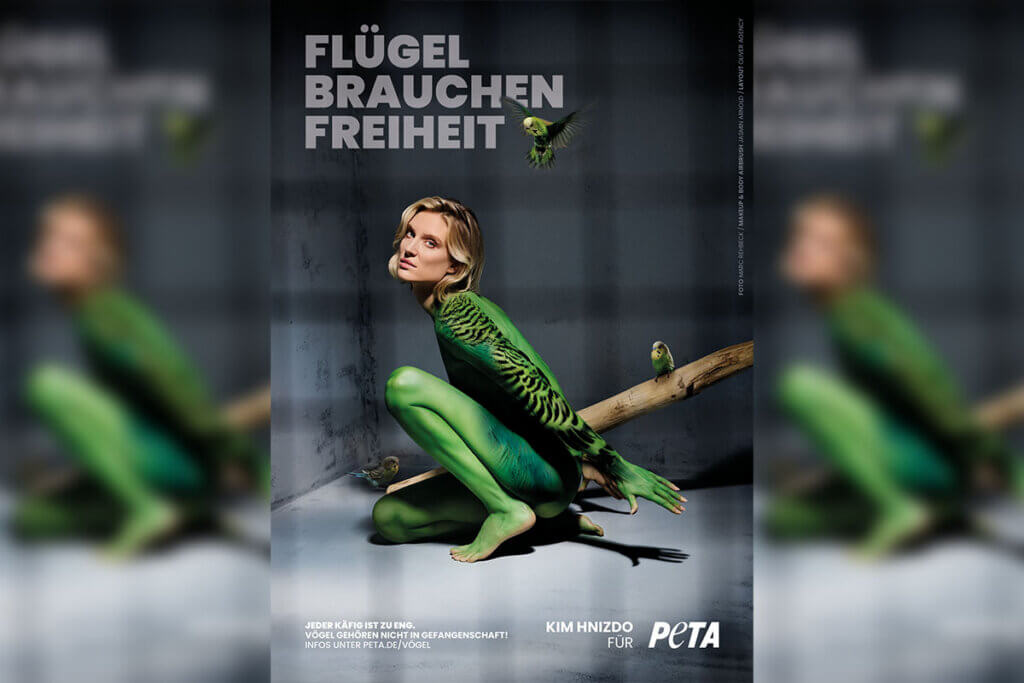 Kim Hnizdo als Vogel im Käfig