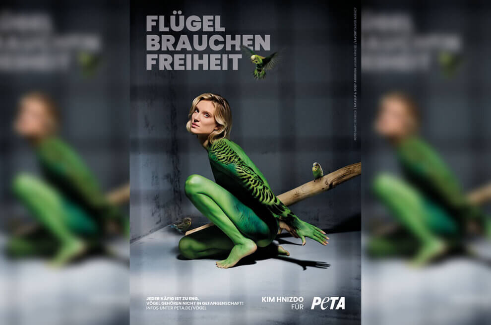 Kim Hnizdo als Vogel im Käfig