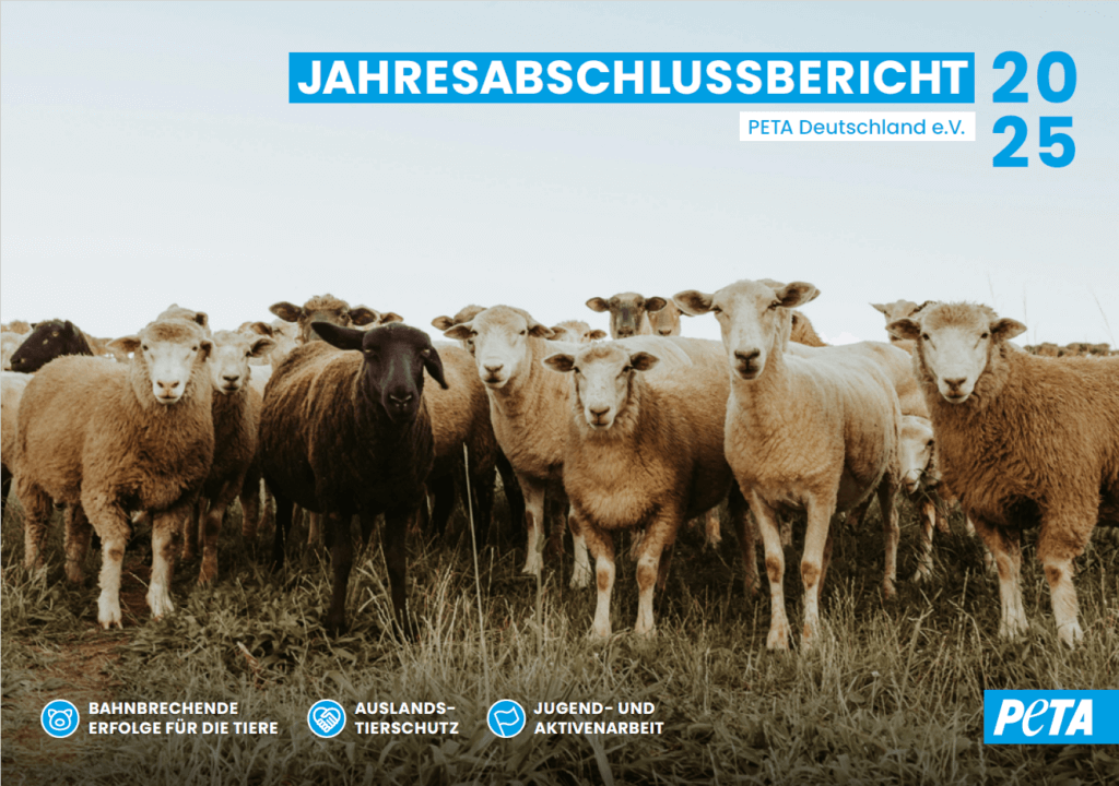 PETA Jahresbericht 2025 Titelbild