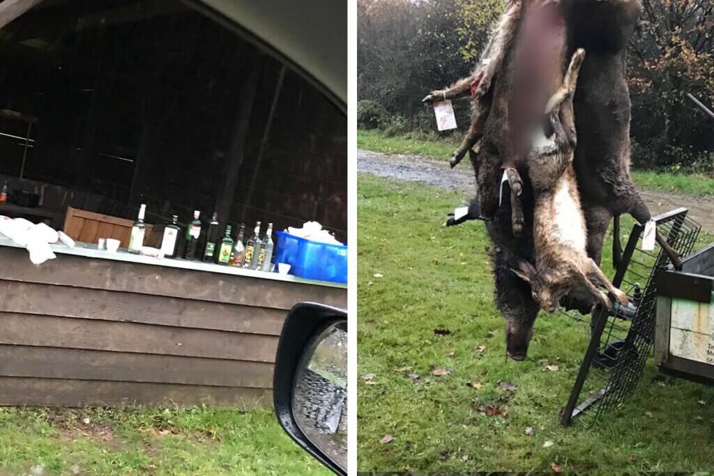 Collage Jagd-Aufbrechplatz mit Alkoholflaschen und ausgeweideten Tieren