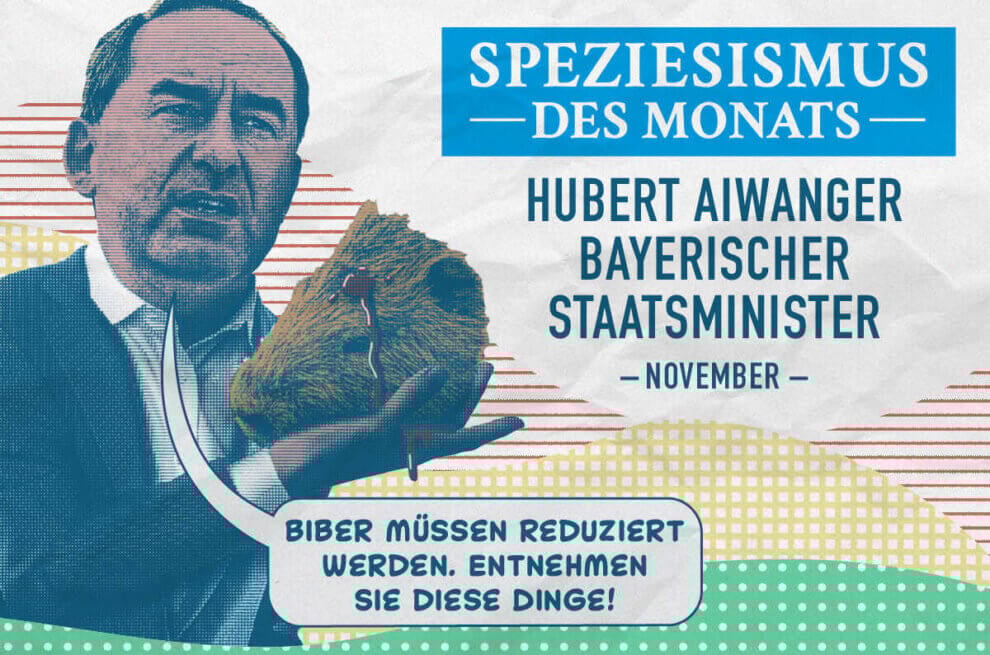 Hubert Aiwanger hält einen abgetrennten Bieberkopf in der Hand, aus dem Blut aus der Stirn.