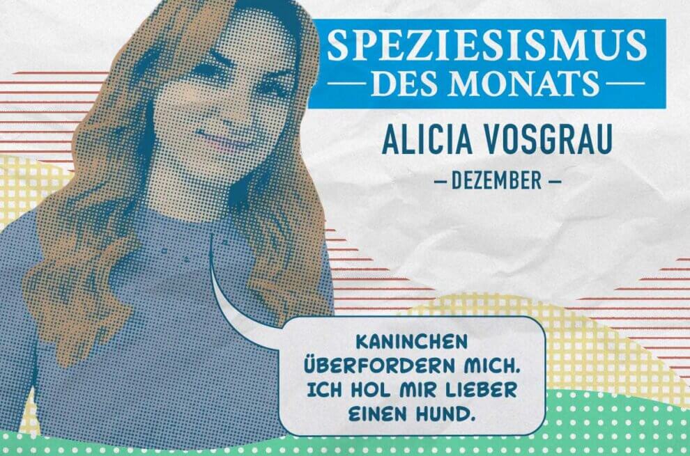Alicia Vosgrau mit Sprechblase: "Ich bin mit Kaninchen überfordert. Deshalb hole ich mir einen Hund."