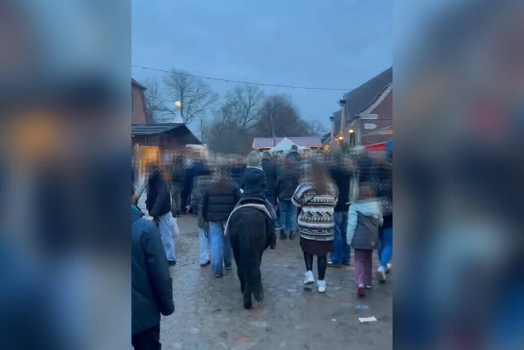 Kind reitet auf Pony durch Menschenmenge