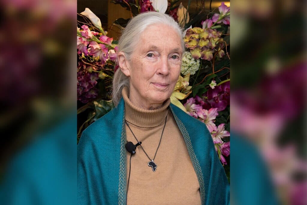 Jane Goodall
