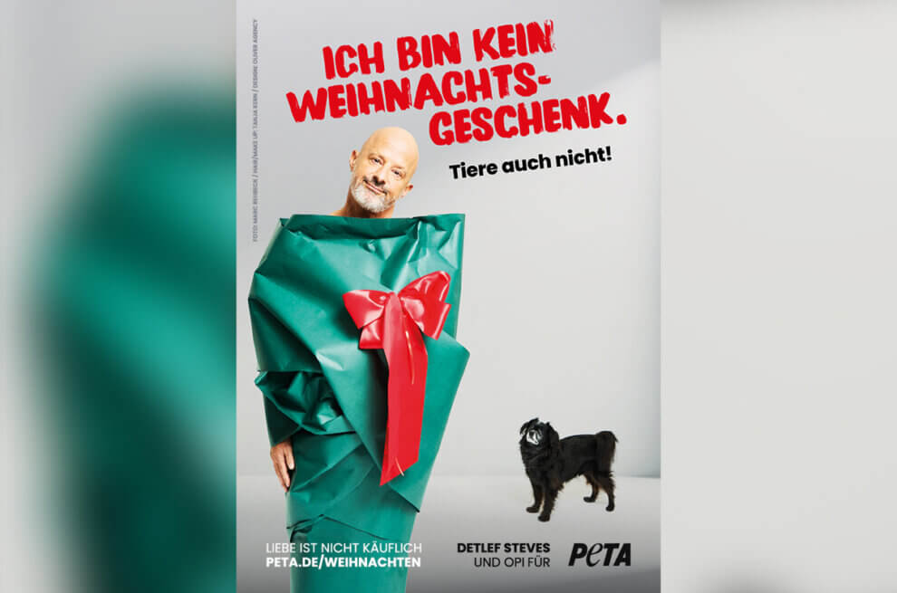 Detlef Steves posiert als Weihnachtsgeschenk