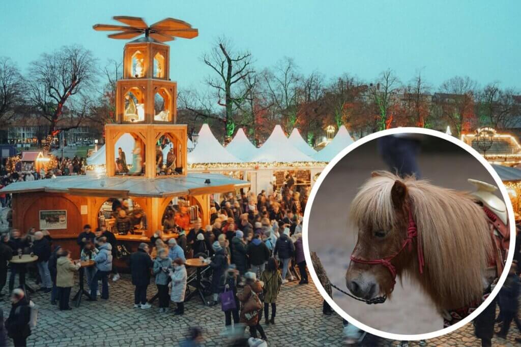 Collage mit Weihnachtsmarkt und Pony