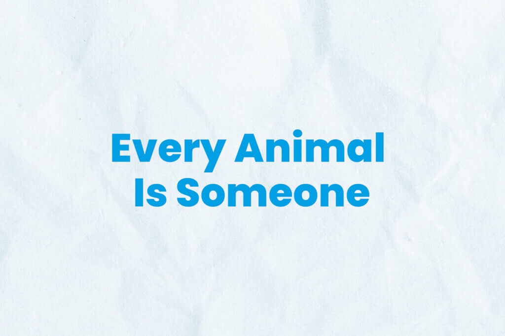 Motto von PETAs Jahresrückblick 2025: Every Animal is Someone