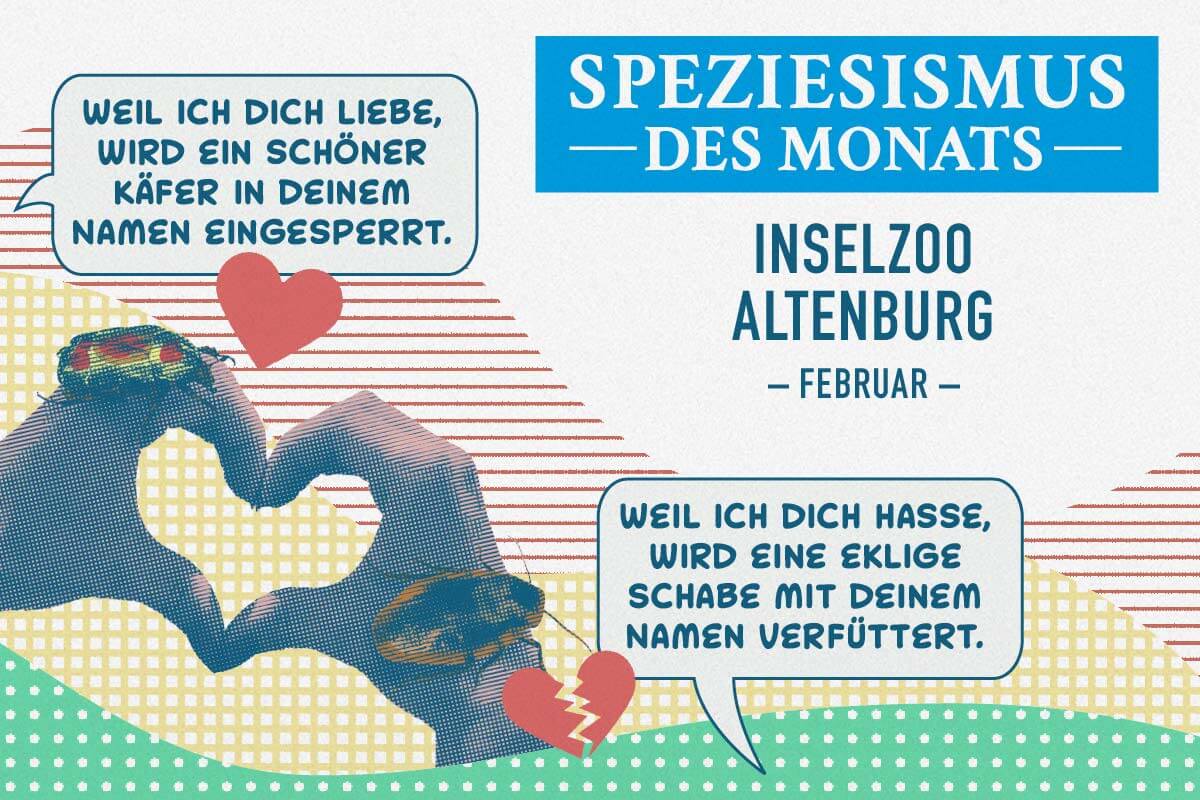 Grafik zum Speziesismus des Monats Februar: Inselzoo Altenburg