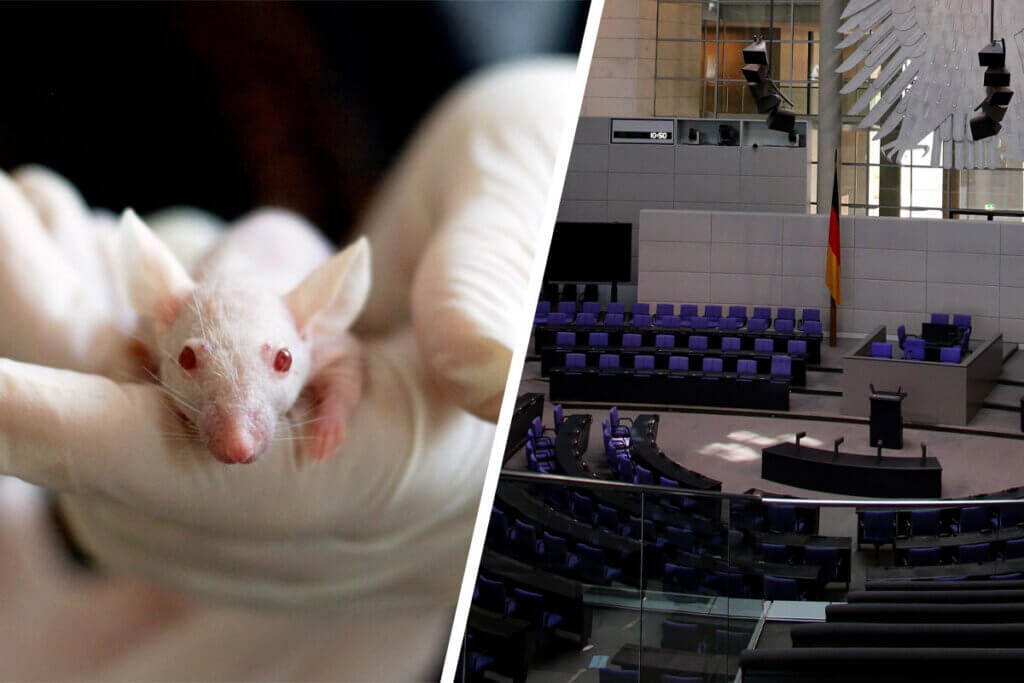 Collage links Maus und Latexhanschuhe rechts Plenarsaal Bundestag