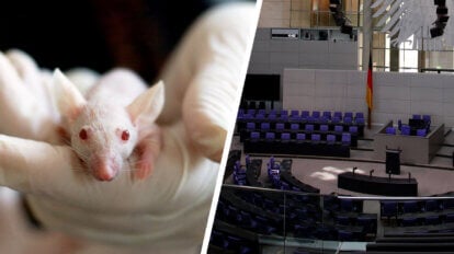Collage links Maus und Latexhanschuhe rechts Plenarsaal Bundestag