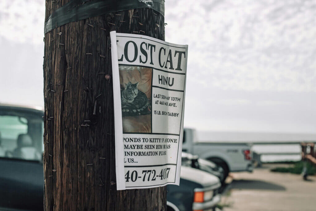 "Missing Cat" Poster an Holzpfahl getackert