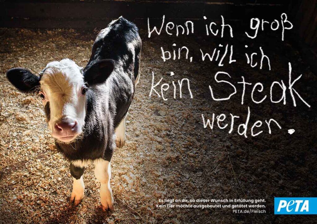 Ein Kalb mit dem Text:" Wenn ich groß bin, will ich kein Steak werden."