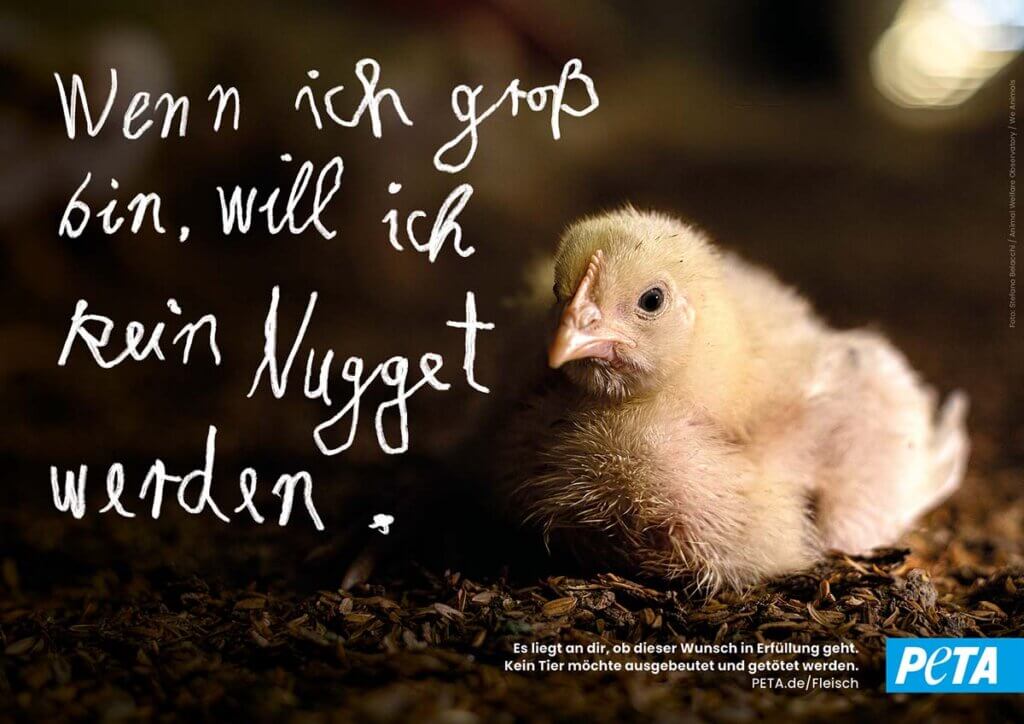 Ein Küken mit dem Text: "Wenn ich groß bin, will ich kein nugget werden."