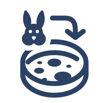 Icon mit Kaninchen und Petri-Schale