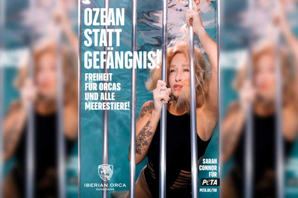 Sarah Connor unter Wasser: Neues PETA-Motiv für Orcas