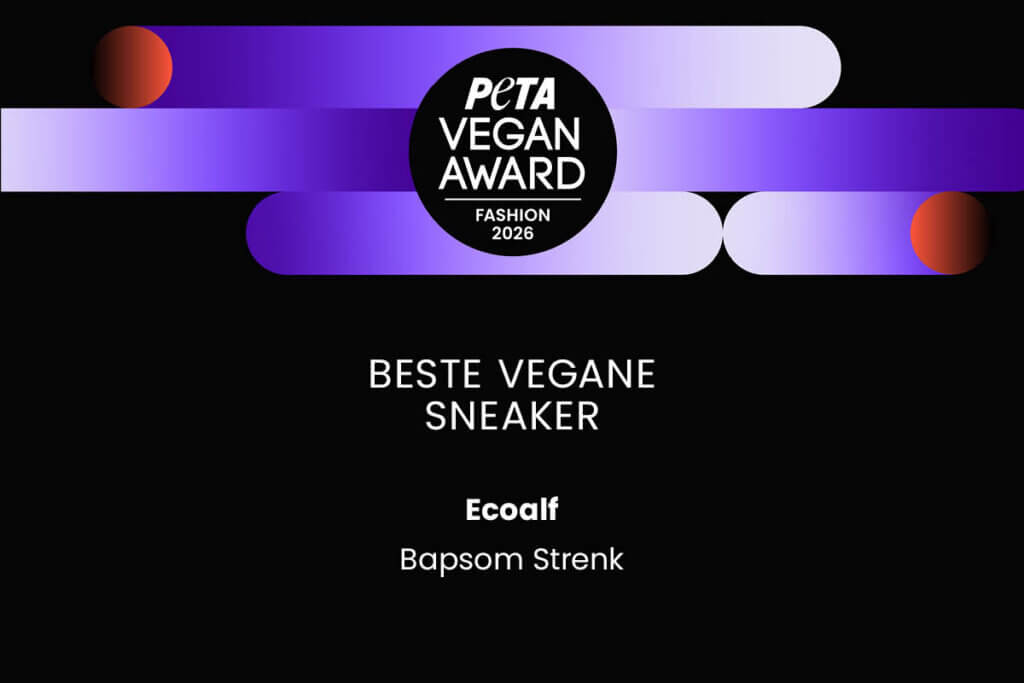 vegane Sneaker