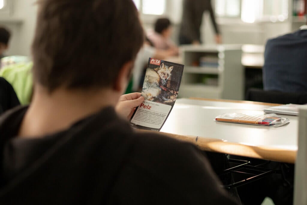Schüler blickt auf Flyer zum Thema Pelz.