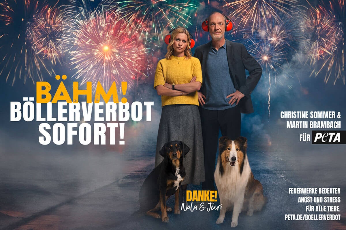 Martin Brambach & Christine Sommer fordern: Boellerverbot sofort!