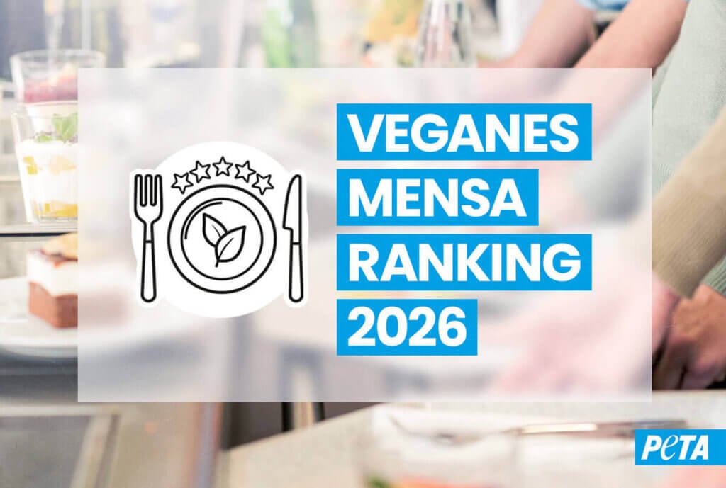 Schriftzug rechts mit dem Titel des Blogs und links ein Logo, Ein Teller mit Besteck und Essen V für vegan Form. Im Hintergrund Mensa Theke.