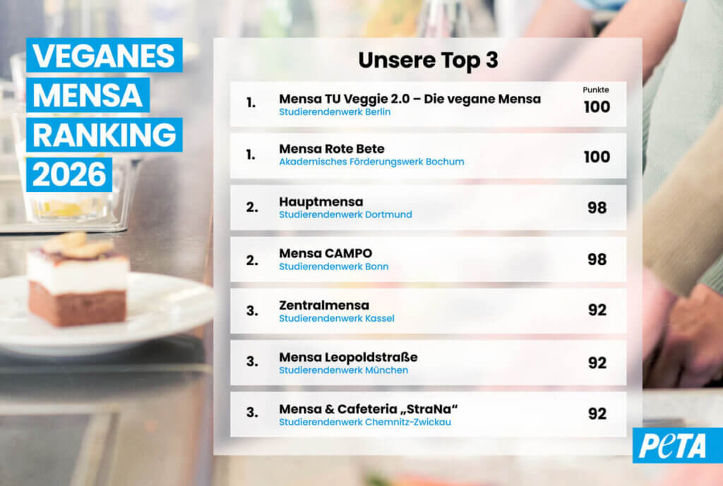 Eine Auflistung der Top 3 Mensen. Es haben gleich mehrere durch ihr vielfältiges veganes Angebot in die Top 3 geschafft