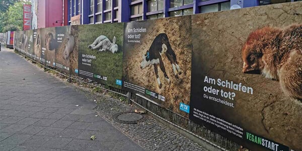Plakate mit schlafenden Tieren und Aufschrift "Am Schlafen oder tot?"