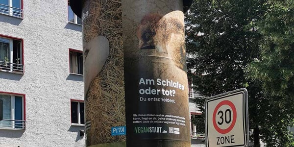 Plakate an Litfaßsäule mit schlafenden Tieren und Aufschrift "Am Schlafen oder tot?"