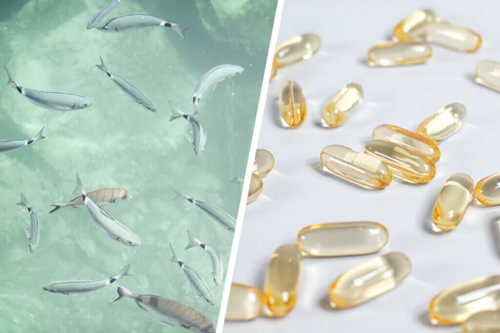 Collage mit schwimmenden Fischen und Fischölkapseln