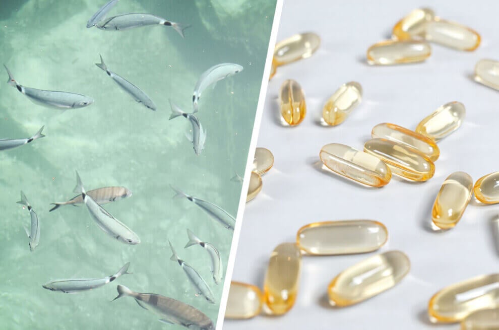Collage mit schwimmenden Fischen und Fischölkapseln